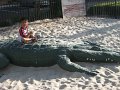 IMG_4555