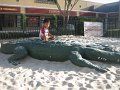 IMG_4556