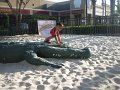 IMG_4558